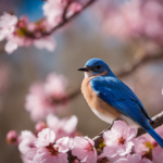 Significado espiritual do Pássaro Azul: Serenidade e Comunicação Divina