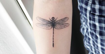 significado espiritual da tatuagem de libelula mudanca e adaptabilidade