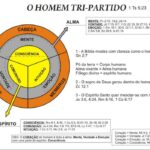 Abraão, Pai da Fé: uma Profunda Análise de Romanos 4:16-22