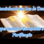 Explorando a Luz, Comunhão em 1 João 1: Do Que Se Trata