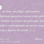 Mateus 6:25-34: Fé acima da preocupação com comida e roupas