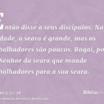 O que Mateus 9:37-38 diz sobre a colheita e os trabalhadores?