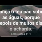 O que significa "Lança o teu pão sobre as águas" em Eclesiastes 11?