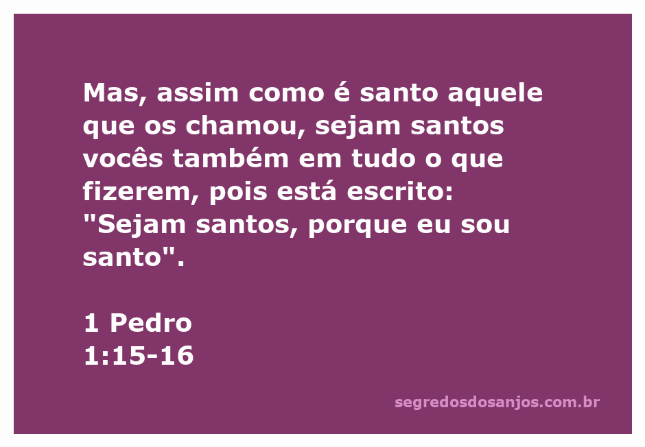 que ensinamento sobre santidade 1 pedro 115 16 oferece