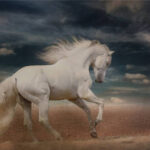 Significado do Cavalo Branco na Bíblia: O que ele simboliza?