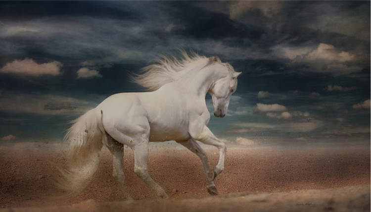 significado do cavalo branco na bblia o que ele simboliza