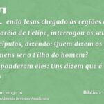 Você é o Cristo: Revelando a Verdade do Filho do Deus Vivo